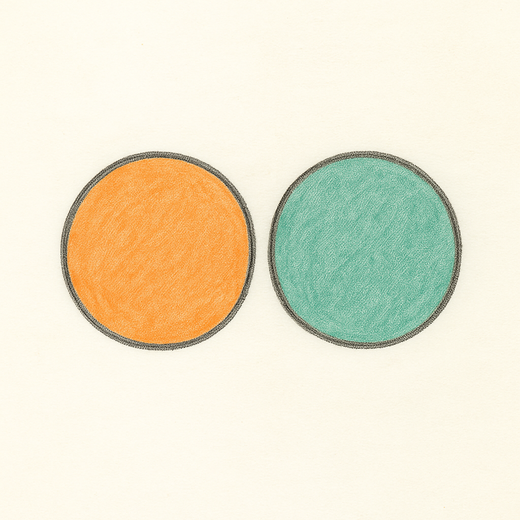 Two circles separate from one another representing how Sarah and her leadership seemed to be working against one another